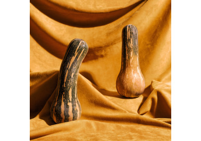 Usare i Falli Maxi per una Sensazione di Piacere Estrema